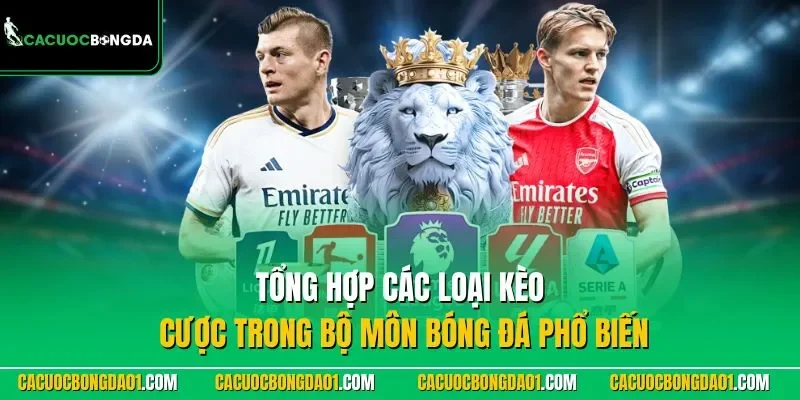 Tổng hợp cách chọn kèo bóng đá phổ biến
